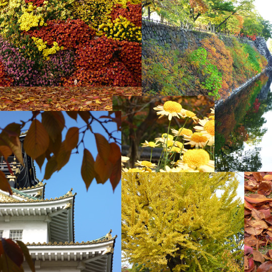 カラーパレット・大阪城の紅葉