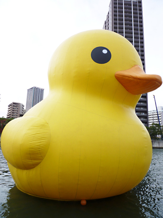 中之島バンクス・アヒルちゃん