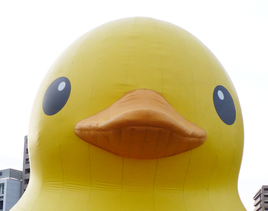 中之島バンクス・アヒルちゃん